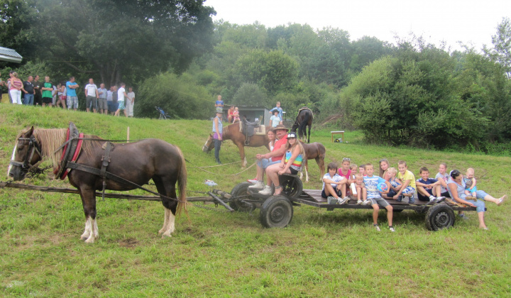 Tolhajka 27.7.2014