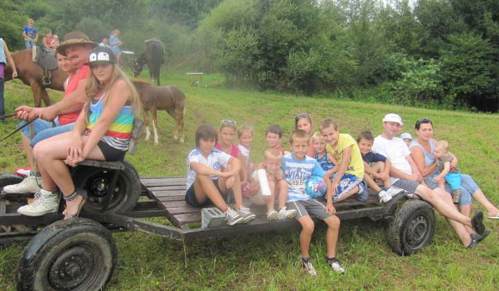 Tolhajka 27.7.2014