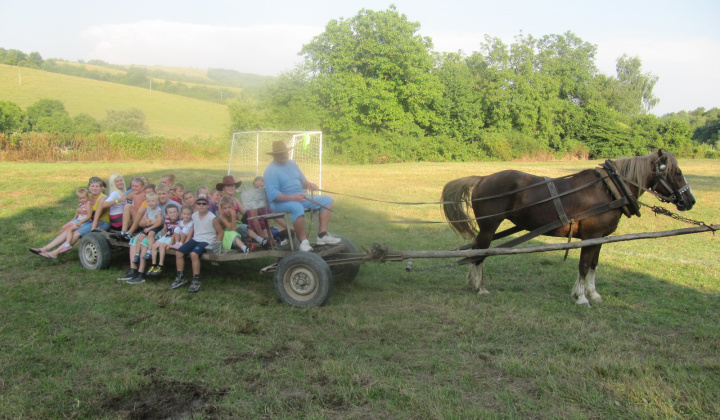 Tolhajka 28.7.2013